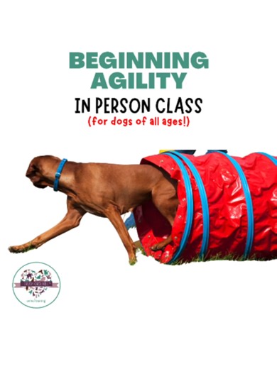 Beginning Agility Class 📅 When: April 20, 2026 to June 29, 2026 ⏰ From: 9:30 am to 10:30 am (Each Monday) NO CLASS 4/27/26, 5/11/26, 5/25/26, 6/8/26, 6/22/26 Instructor: Shannon Riley Prerequisites: Requires permission from instructor to advance to next class ▪️Dogs of all ages welcome! ▪️Dogs must be current on vaccines ▪️Handlers 14 y/o to adult (to attend class without supervision) Beginning Dog Agility Class Includes: Agility Courses are a great way to train, exercise and bond with your dog