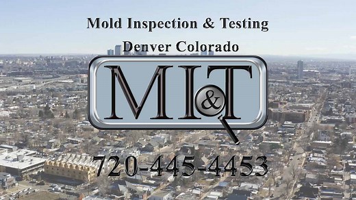 Mold Inspection & Testing Denver CO