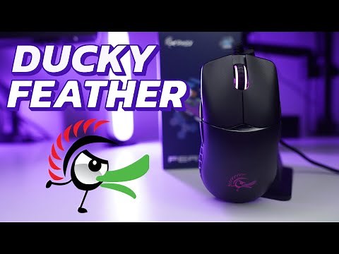 DUCKY FEATHER Review: The IMPROVED Zowie FK2 I've been looking for?!
