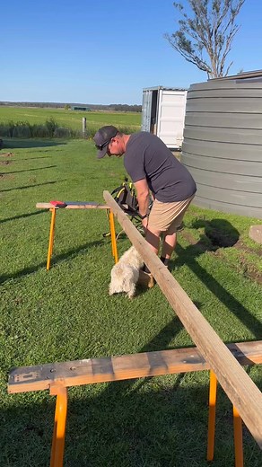 2.3K views · 45 reactions | Fence Building Day 2! | Poultry, Petals, Preserving & Faffing About | Facebook