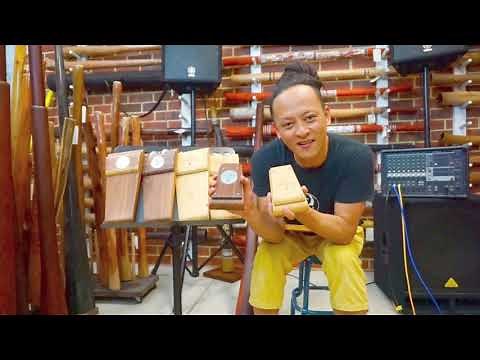 Wild Dog Stompbox - all models intro