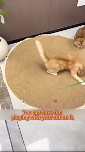 Cat Rug, Cat Scratch Rug, 39 in Washable Boho Braided Circle Rug, Soft and Stylish Home Accen for Cat Lovers
