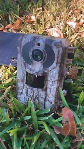 Stay plugged into what matters outdoors with the SEHMUA 4G LTE Battery & Solar Trail Camera — your
