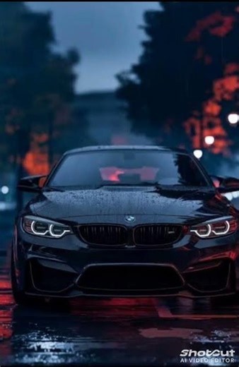 👑 BMW power
