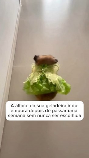 Eu sei que você é do tipo que compra vários vegetais e eles acabam fazendo aniversário na sua geladeira. Chega a um ponto em que você nem compra vegetais mais, já que tudo (ou quase tudo) acaba indo para o lixo. Por isso, deixo aqui algumas sugestões para evitar que isso aconteça novamente: 🍆 Evite comprar uma quantidade excessiva de vegetais para poucas pessoas. Opte por 2 vegetais e folhas por dia e vá revezando para não ficar sempre comendo as mesmas coisas e acabar enjoando. 🥬 Chegou do me