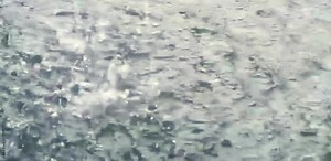 splashing water that occurs when rainwater falls on a puddle Stock Video
