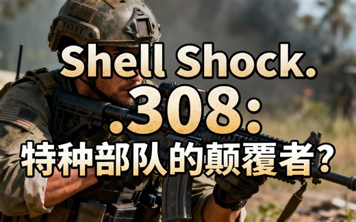 [中配]Shell Shock .308：特种部队的颠覆者？ - 110 SASS Actual