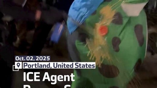 ICE Agent Pepper Sprays Frog-Suited Protester