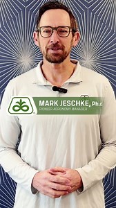 🤩 What’s new in our 2025 Agronomy Research Summary? Reduced stature corn, corn rootworm, and corn stunt disease. On the soybean side, SDS of soybeans, soybean cyst nematode and much, much more! Click here for a copy: https://bit.ly/3QknsYc | Pioneer Seeds