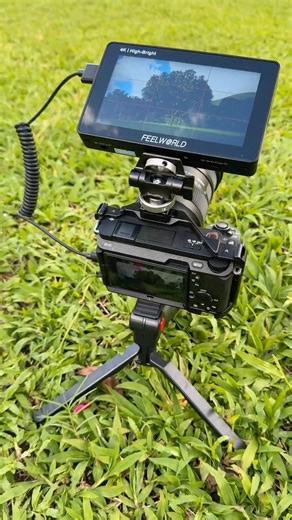 FEELWORLD F5 Pro X 5 5 Paired with Sony ZVE1