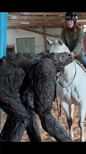 And what do you think about this Mr horse? #horse #reaction #costume