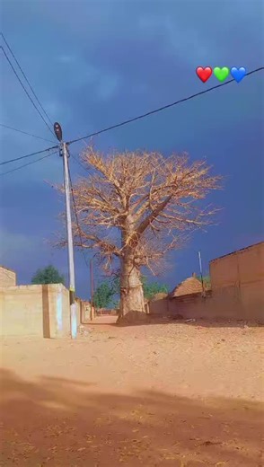 Tendances TikTok au Sénégal : Ousmane Ndao en vedette