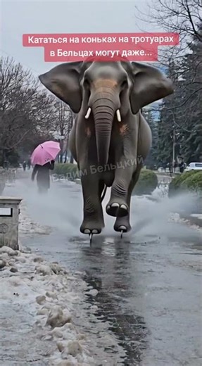 Немного юмора о катках на тротуарах...