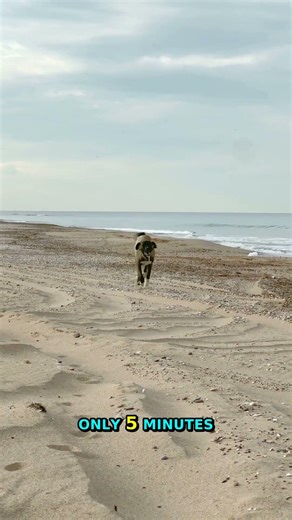 Easy Repair Hacks | Quick DIY Solutions For Home