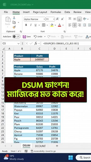 How to Use DSUM Function in MS Excel? | Tanvir Academy