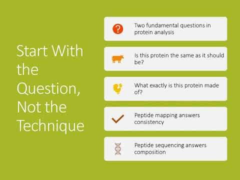 Peptide Mapping vs Peptide Sequencing: Key Differences Explained