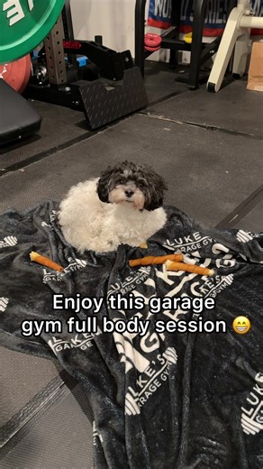 Garage gym full-body session time! Still doing some light legs to let my foot fully heal! Crushed a good workout tonight with my second full-body session of the week! I am utilizing the following equipment in these videos: \t•\tQuantum Trainer \t•\tEcho Strength Depot All-in-One Rack with Pivot Arms \t•\tThe EonFit Tower with the Deltech Fitness Flat Bench \t•\tFreak Athlete ABX Bench on the Quantum Trainer and Echo Strength Depot Rack \t•\tDeltech Fitness Ab Bench \t•\tFit Transformer Titan usi