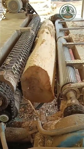 Amazing Wood Peeling Machine Removing Bark in Seconds! 🌲 #shorts