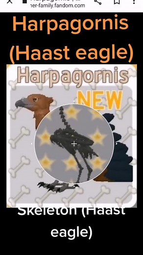 Exploring the Haast Eagle and Its Feathered Family
