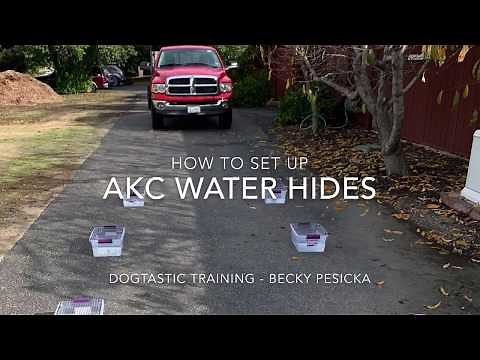 Scent Work/Nose Work Buried Hides - How to set up AKC Water Hides