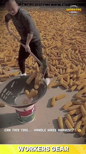 Simple & Smart Funnel Tool for Collecting & Sorting Corn Cobs in High-Volume Farming Conditions