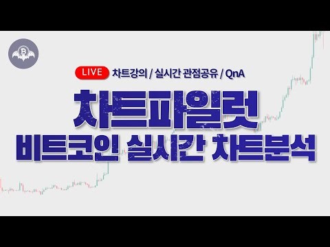 [차트파일럿 실시간] 25년 9월 14일 "유일한 전문가"