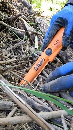 Treasure Hunting in the Woods with the Metal Detector #shorts #metaldetecting #treasure