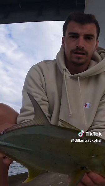 Jigging Fishing Techniques with Shimano and Daiwa Gear