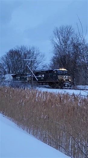 NS Norfolk Southern engineer decides one long horn blast will do on 29P 12926 #locomotive #railway