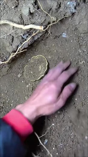 Exploring the Unique Design of a Golden Abacus