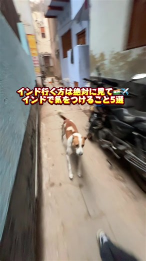 インド旅行での注意点5選｜安全に楽しむ方法