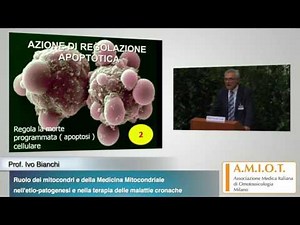 Prof. Ivo Bianchi - Ruolo dei mitocondri e della Medicina Mitocondriale nell’etio-patogenesi e ...