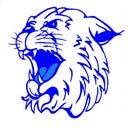 Alcott High School (Chicago, IL)  Basketball