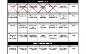 INSANITY WORKOUTDAY 5Pure Cardio