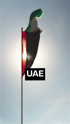 Branch Office vs Free Zone in Dubai: Key Differences, Costs & Setup Guide | #branchoffice