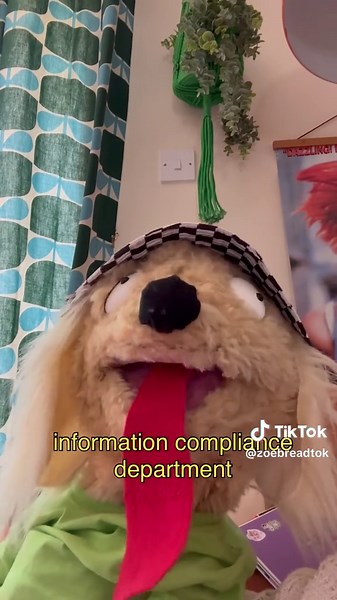 i love to chase gooses, wildly. | goose