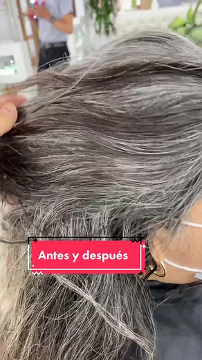 Transformación de Canas: Antes y Después Espectacular