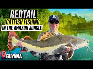 Finally Catching a Beautiful Redtail Catfish in the Amazon Jungle! ( Epic Fishing Adventure)