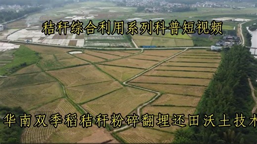 华南双季稻秸秆粉碎翻埋还田沃土技术