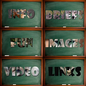 Student Resource Guide Main Page - Glacier National Park (U.S. National Park Service)