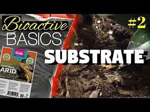 Bioactive Vivarium Substrates | Bioactive Basics #2