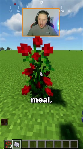 Minecraft Flower Trick