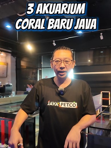 Setup Reef Tank Besar di Java Reef dengan Flowcolour