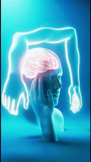 Why Your Brain Feels Limbs That Aren’t There 👻🧠