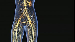 Ease into a walking routine: how a little exercise goes a long way