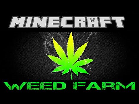 How To Build A Weed Farm in Minecraft