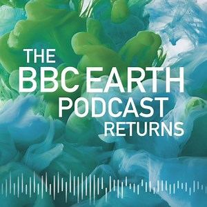 38K views · 378 reactions | The BBC Earth podcast is back this Thursday, with more incredible stories from our natural world.  | BBC Earth | Facebook