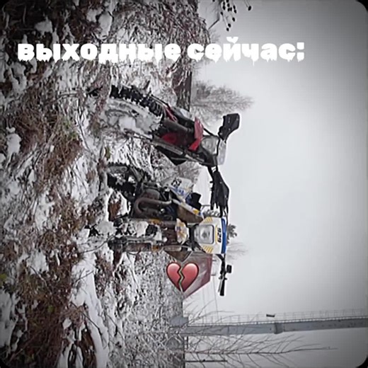 PAVEL (@formik1)’s videos with оригинальный звук - Толик Шайба