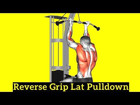 How To Do Reverse Grip Lat Pulldown (With Muscles Worked)