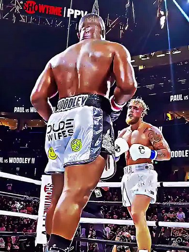 Jake Paul Boxing Knockouts Highlights Compilation